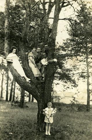 KKE 2021.jpg - Na drzewie Od lewej: druga Stanisława Gałęzowska z przyszłym mężem Bernardem Zwierko, lata 30 XX wieku.